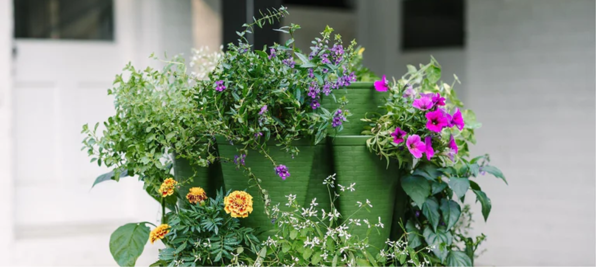 3-tier Greenstalk