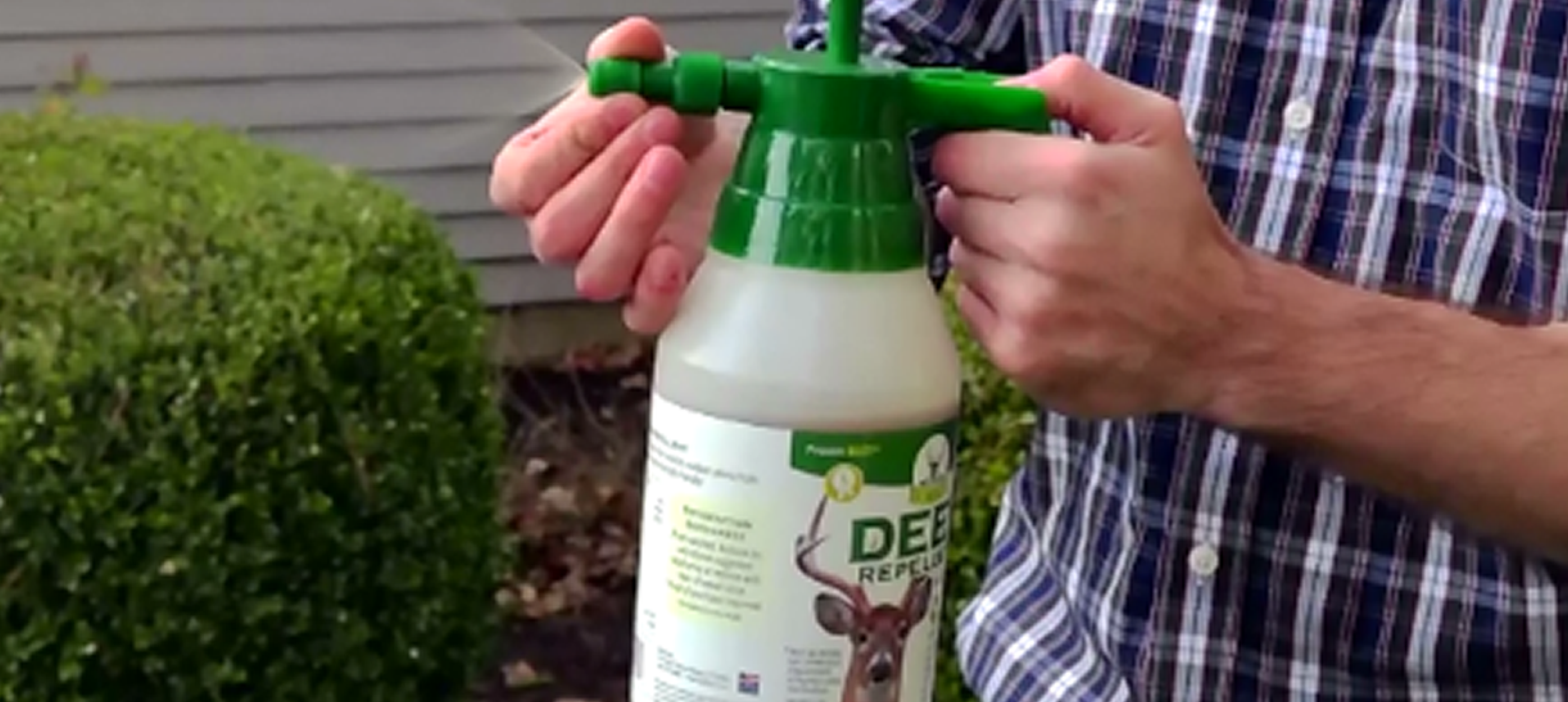 Deer Repellent