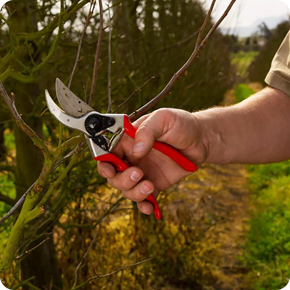 Garden Tools