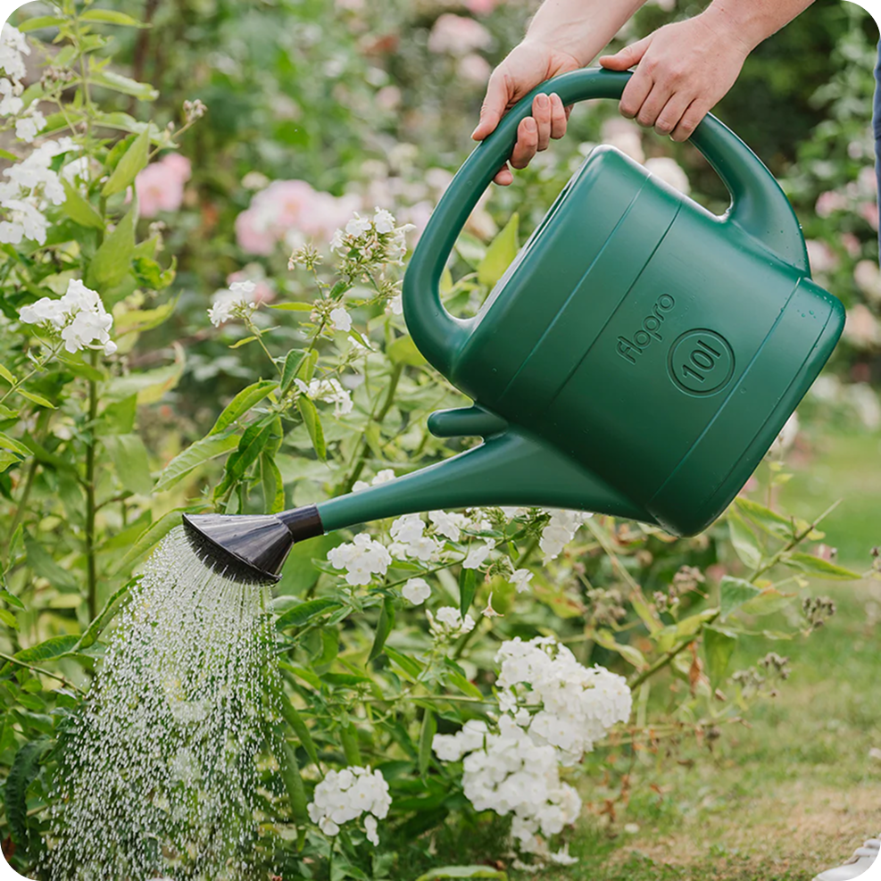 Watering Cans