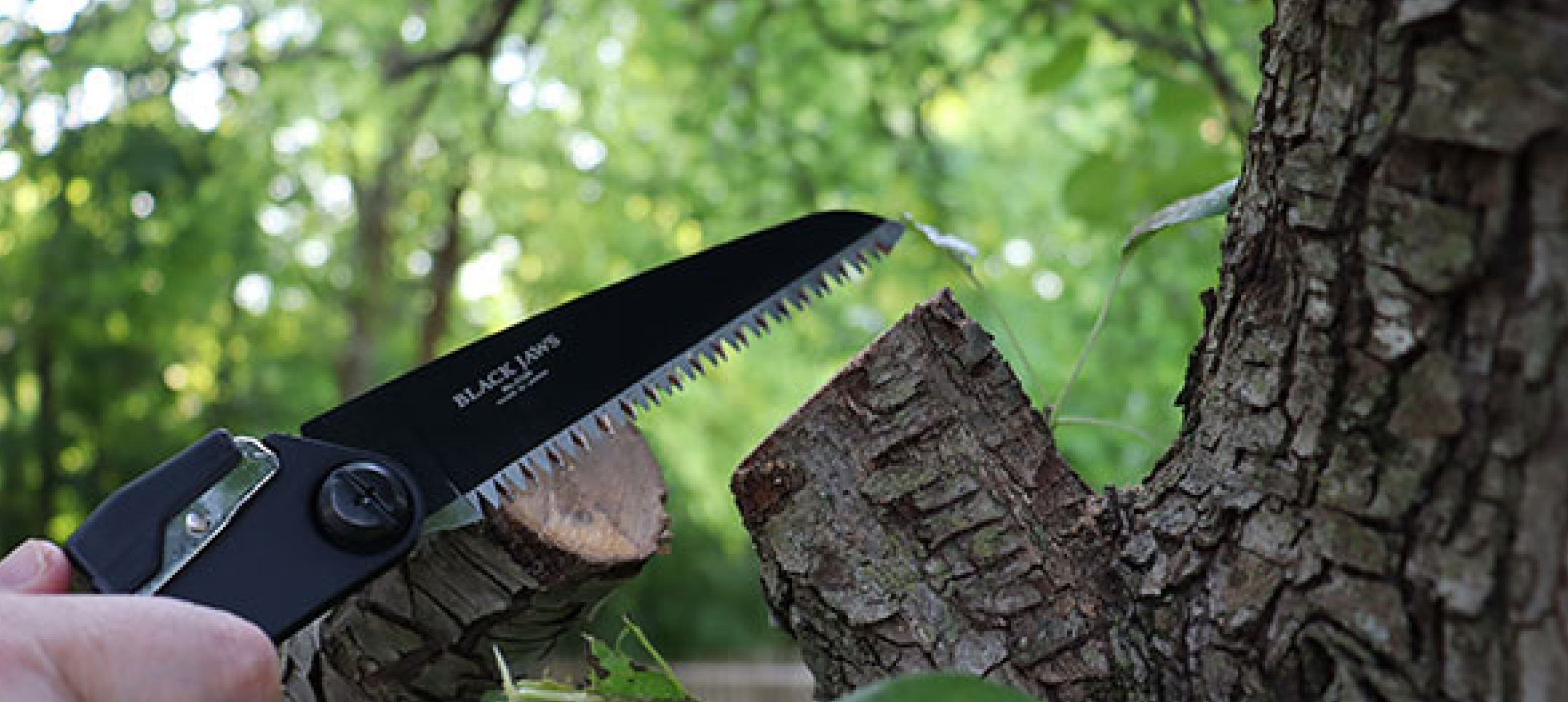 Saws