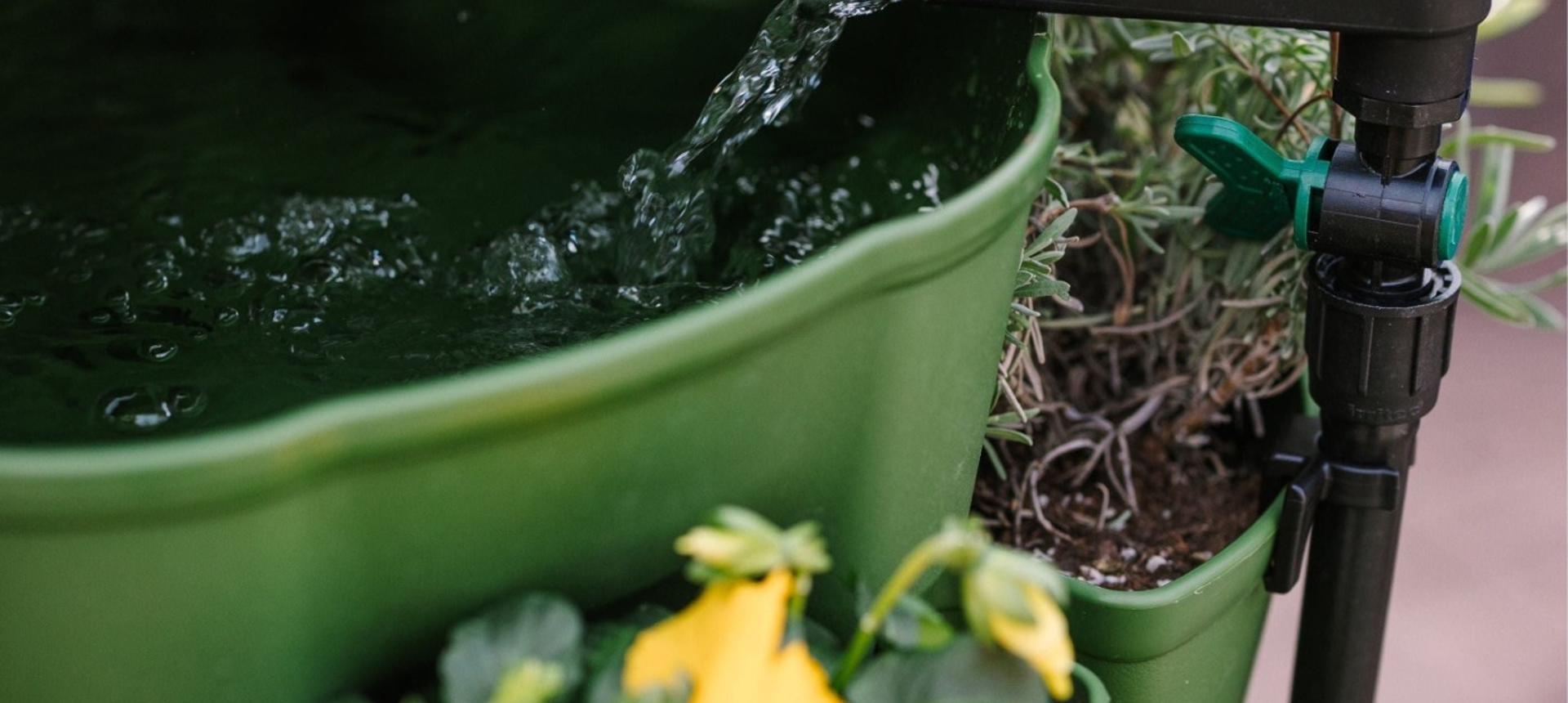 Watering Systems & Accessories