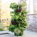5 Tier GreenStalk