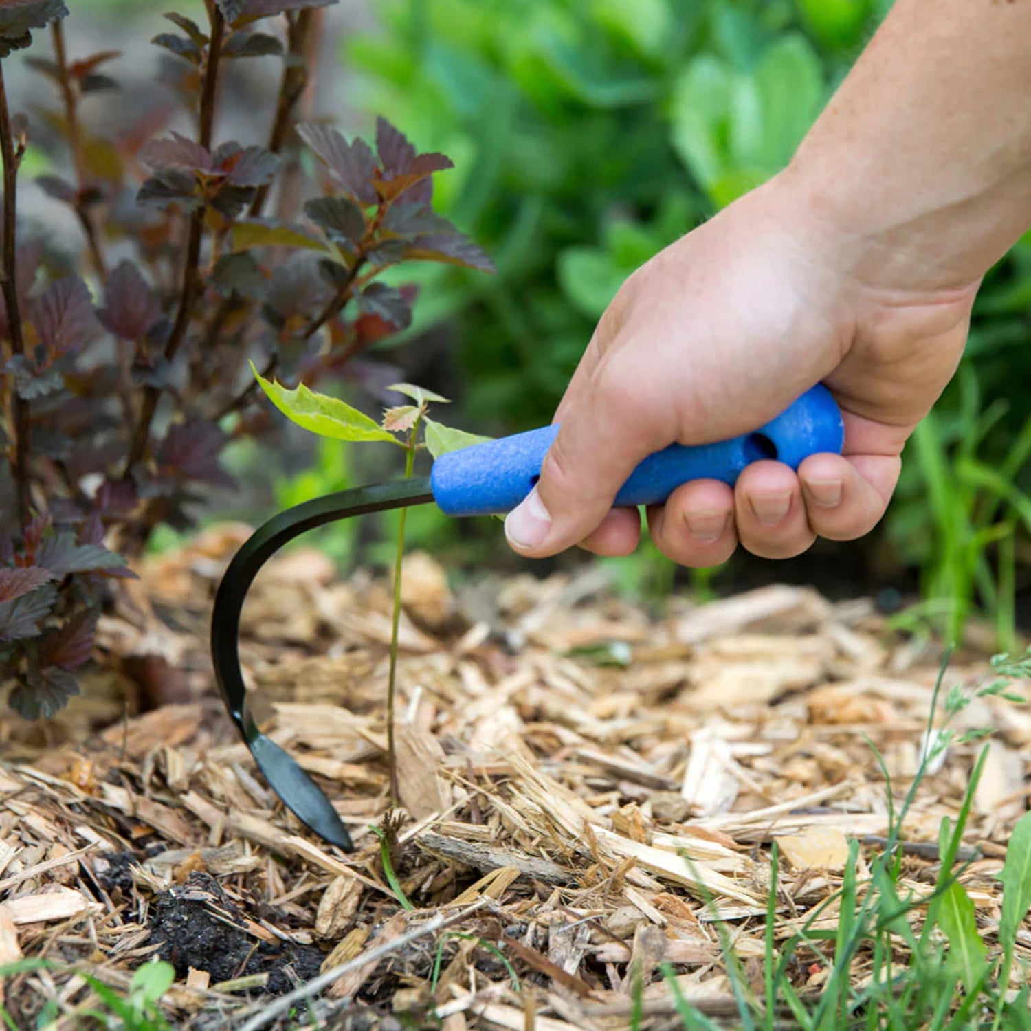 CobraHead® Mini Weeder & Cultivator