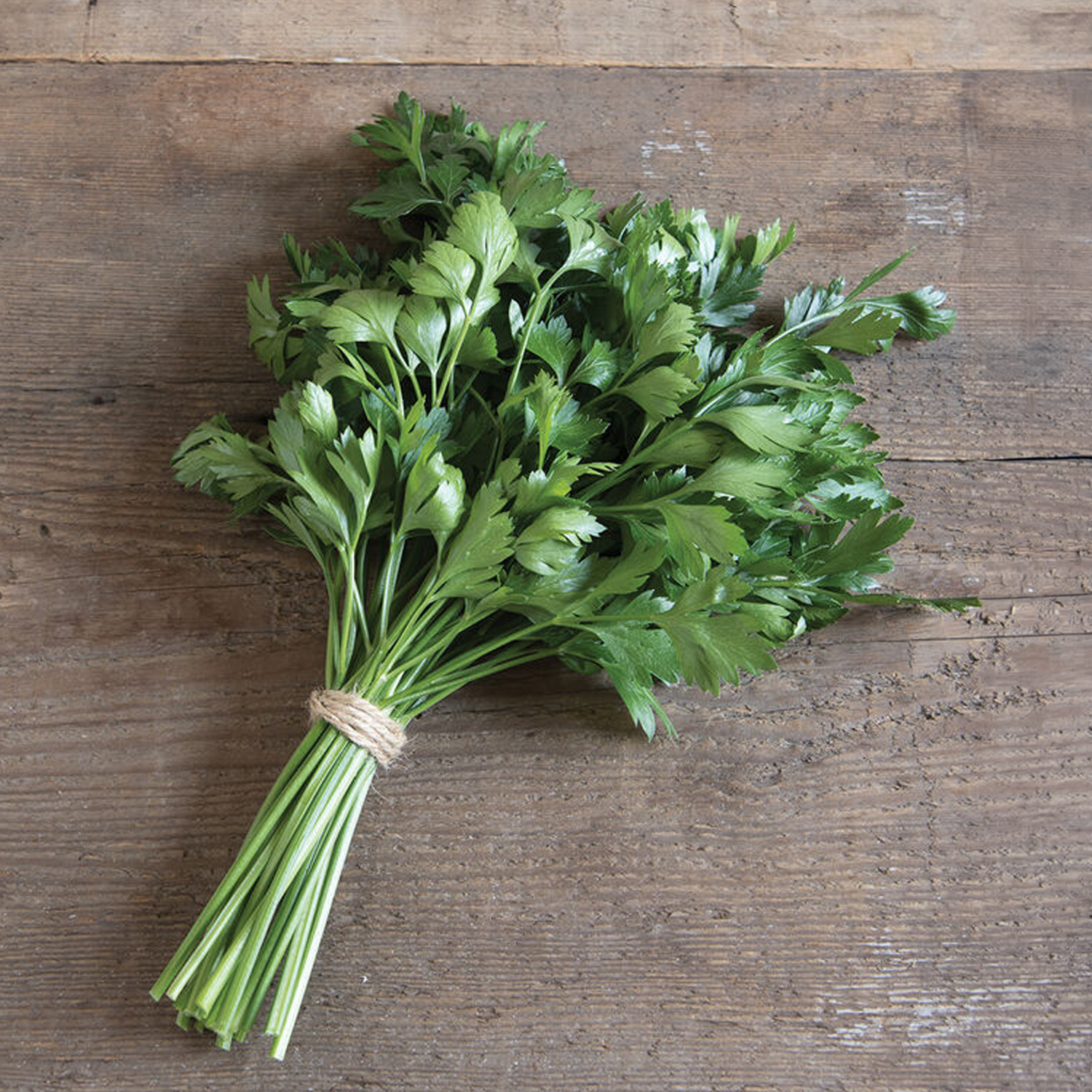 Giant of Italy Organic Parsley Seeds