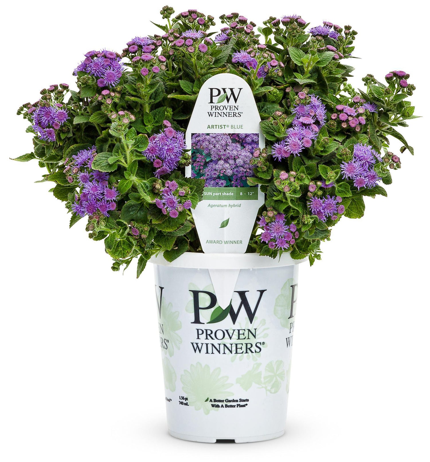 Artist® Blue Ageratum | Proven Winners®