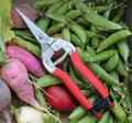 Pruners