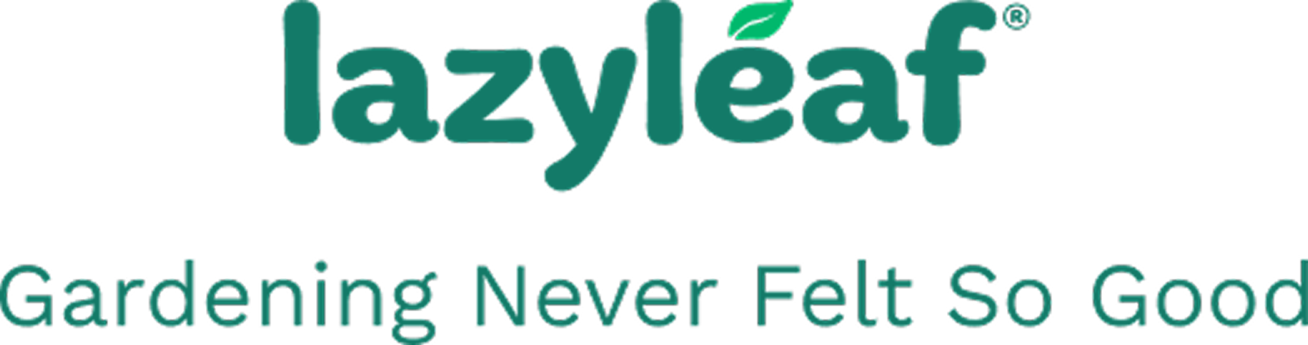 Shop LazyLeaf